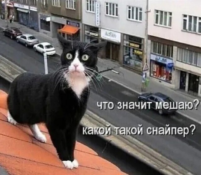 Так себе картинки 24.07.26