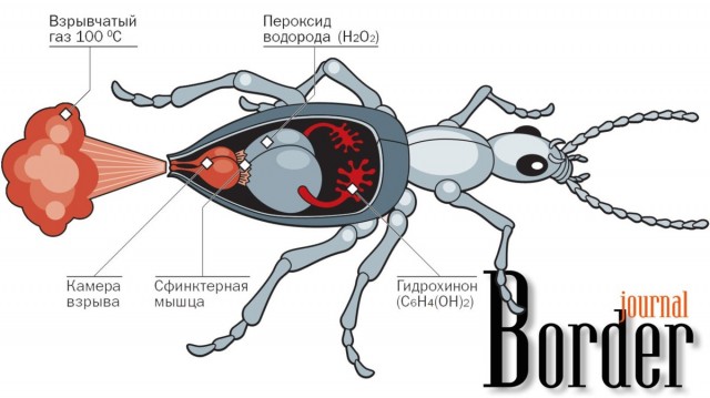 Ошибочка вышла