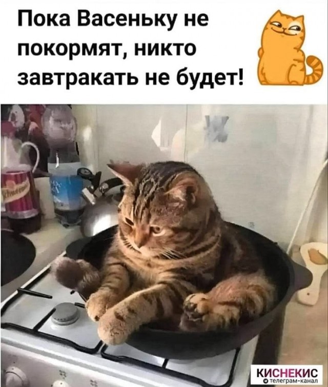 Прикольные и просто красивые картинки 01.09.2026