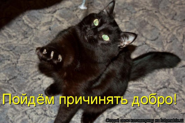 Пятничная подборка для поднятия настроения