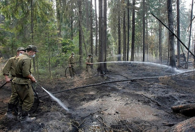 Болгарские пожарные под Ногинском