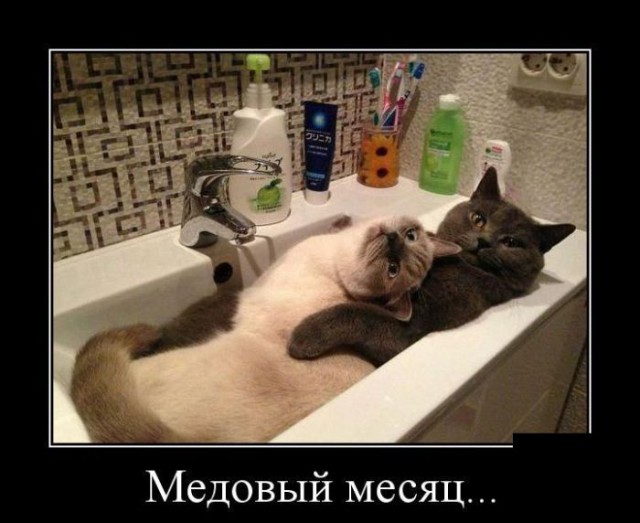 Демотиваторов пост, добавляйте свои