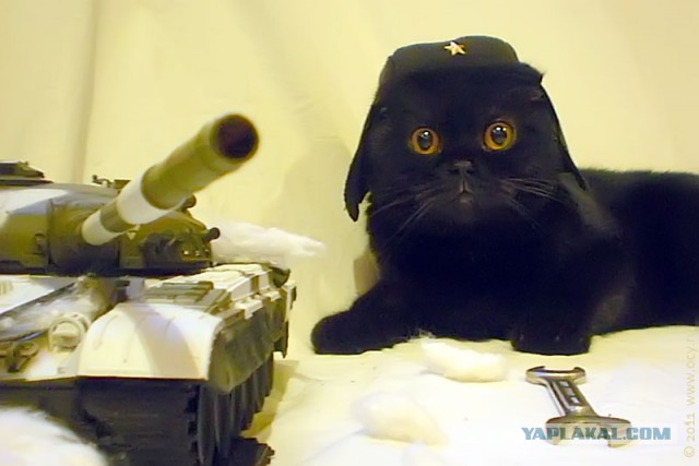 Wargaming 15