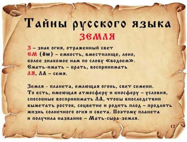 20 фактов обо всем