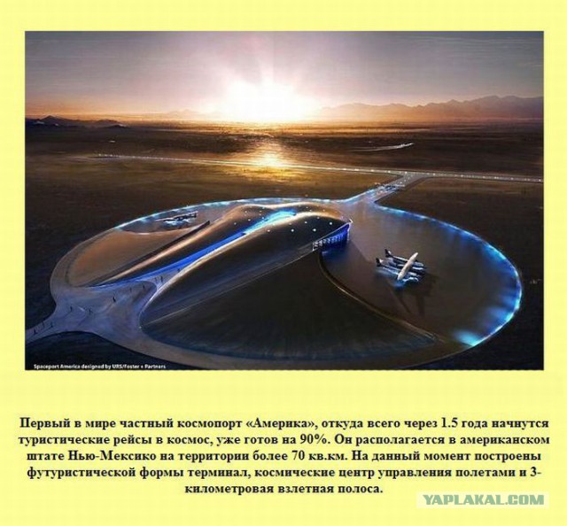 20 фактов обо всем