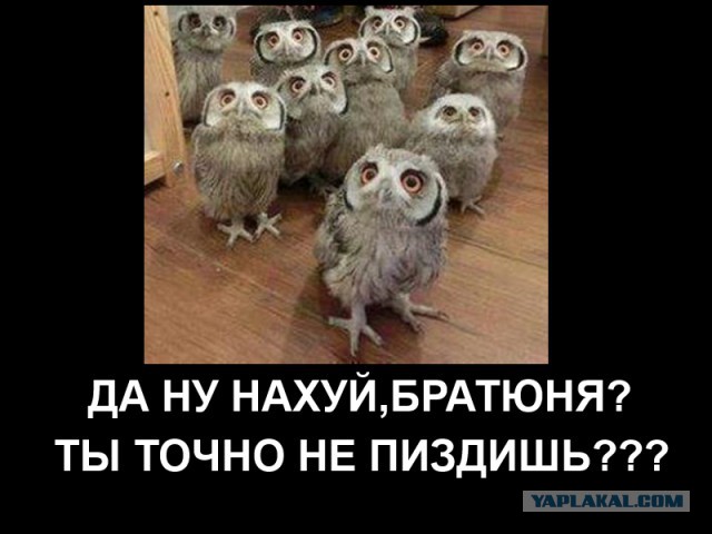 Украинские СМИ сообщили о подготовке ядерного удар