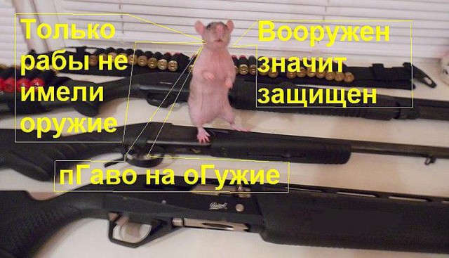 Если бы я была борцом за «легализацию» оружия