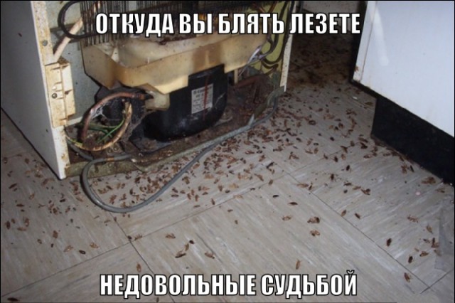 Предметы быта людей Страны Советов