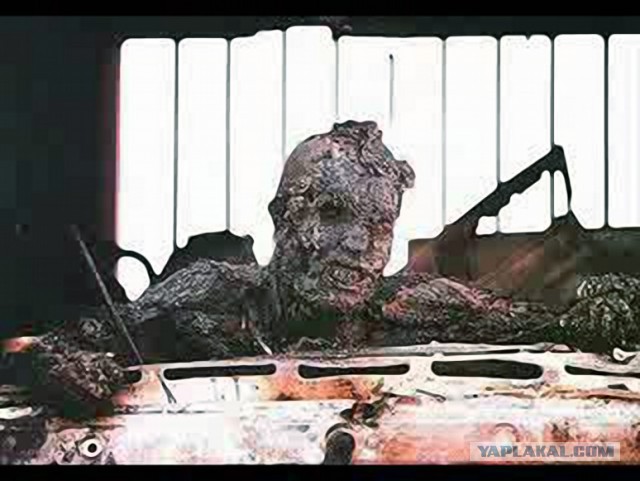 Афганская война