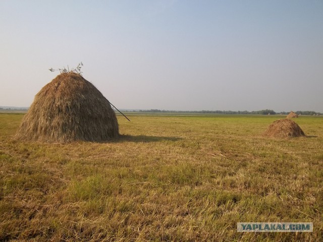 Россия