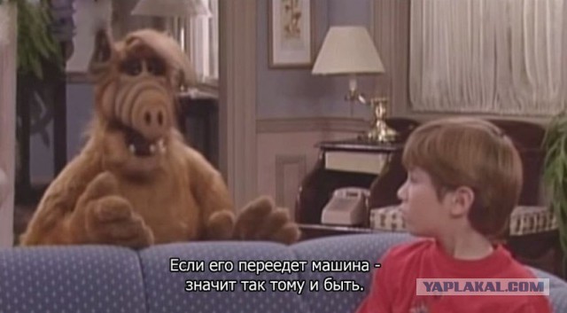 Картинки из ваших этих итернетов...