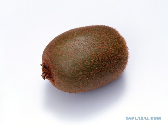 Небритая клубника. Теперь я видел всё