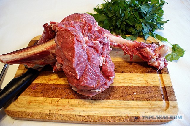 Белкина кладовка