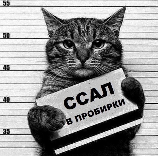 Отстранение сборной России УЖЕ от Олимпиады 2018