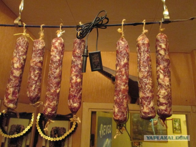 Колбасный FAQ. Делимся опытом, задаем вопросы, обсуждаем технологии.