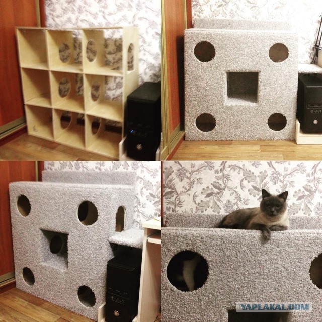 Домик для кота