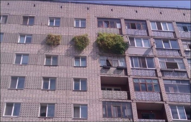 Подборка интересных и веселых картинок