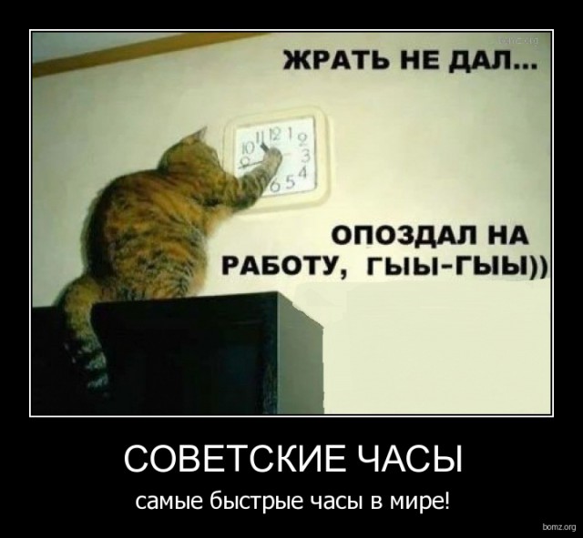 Подборка интересных и веселых картинок