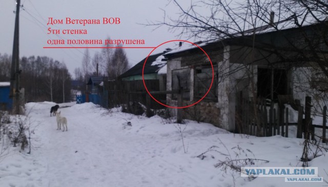 Настоящий, стопроцентный... истинный финн!