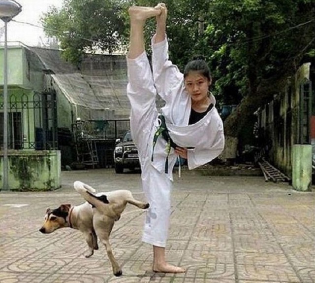WTF: что тут происходит?