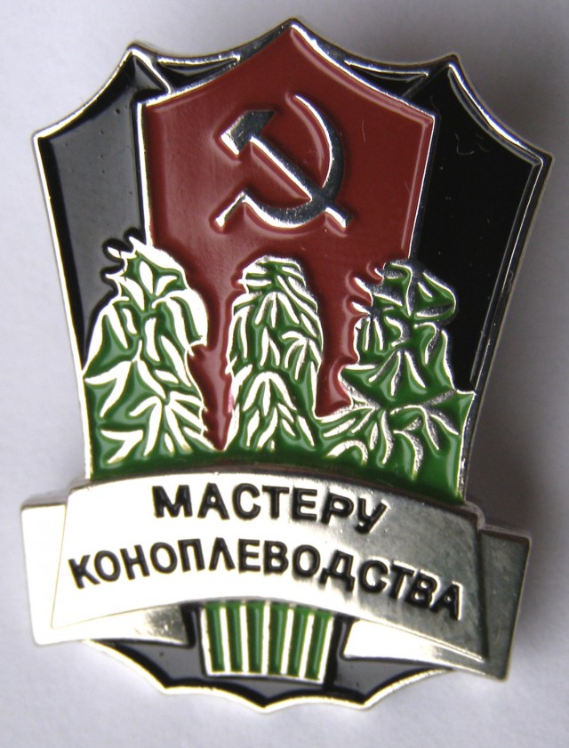 Интересные фото