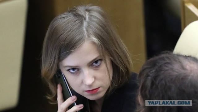 Министр культуры поставил на место Поклонскую