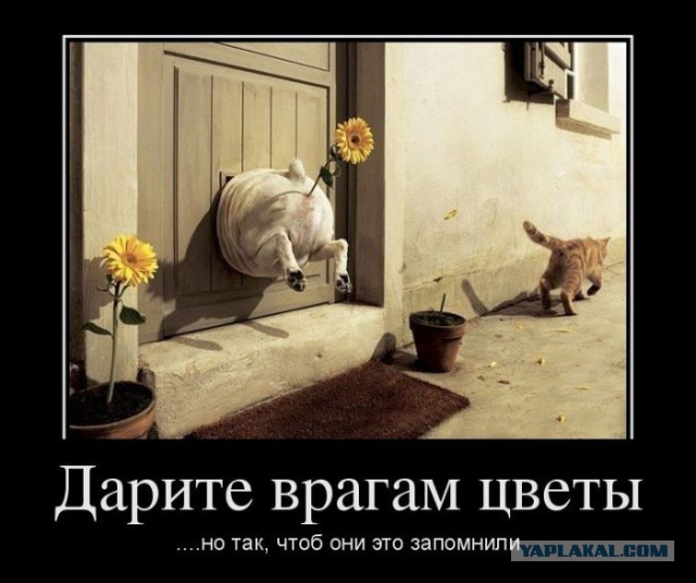 Улюкаев рассказал в суде, какие подарки дарил ему Сечин