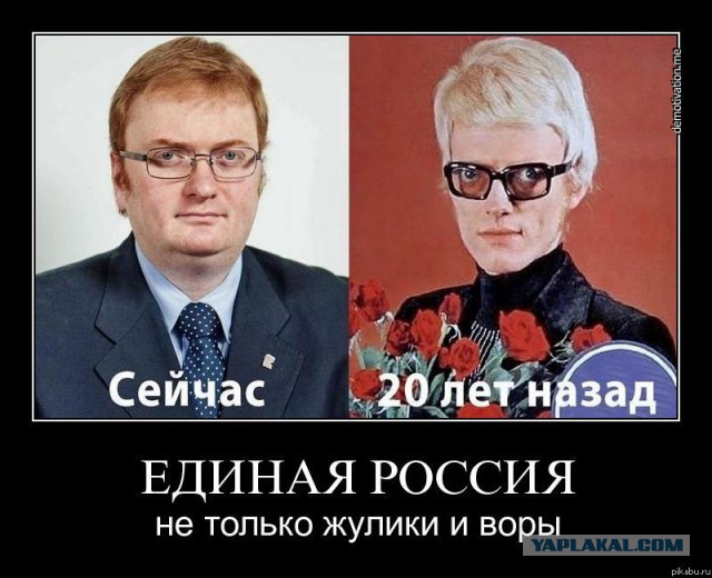 "Латентный гей и навозный жук": Фадеев ответил Милонову на оскорбление Серябкиной