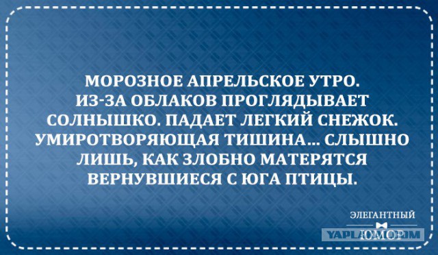 Смешные комментарии из социальных сетей 06.04.2018
