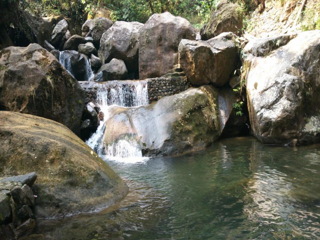 К живым мостам и обратно. Заметки из Индии