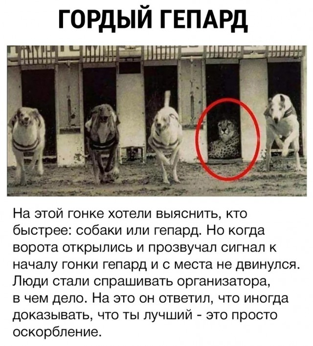 Немного картинок в этот четверг