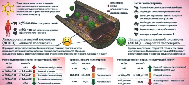 Всякие разные жизненные шпаргалки и таблицы