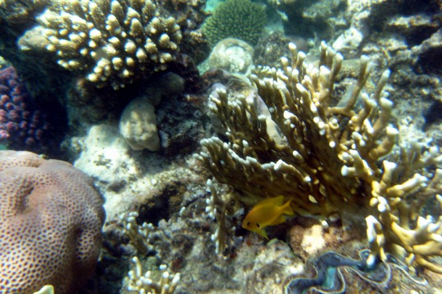 Невероятный подводный мир