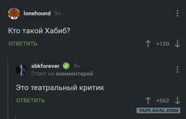 Девушка из Дагестана троллит Хабиба Нурмагомедова