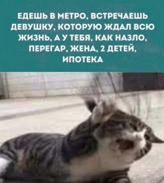 Занимательная антропология