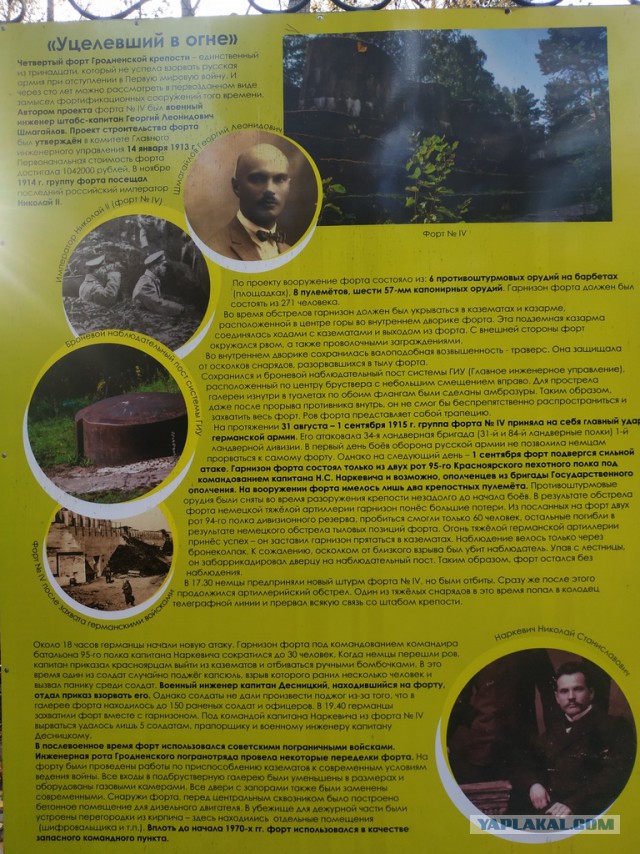 ЯП вокруг света. Германия, Австралия, Китай...