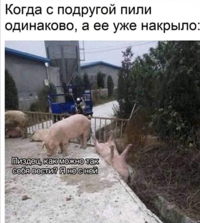 Бредзона 13.02.2020