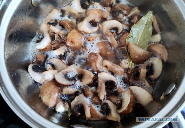 Быстромаринованные шампиньоны.