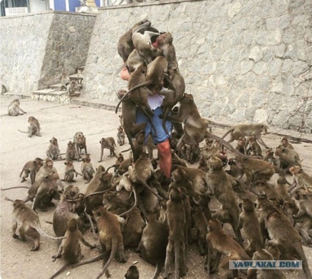 Надела неправильные кроссовки