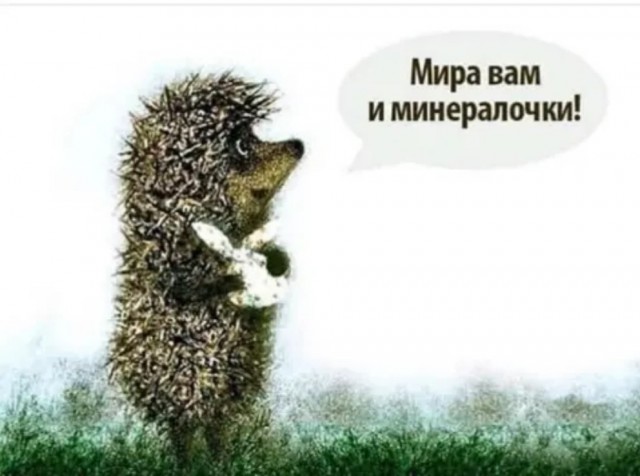 Бредзона 06.04.2020