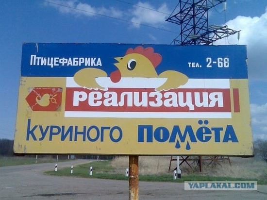 Тайна заработка фекалоида...