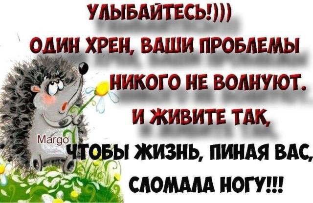 Так себе картинки #15