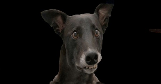 Пуля