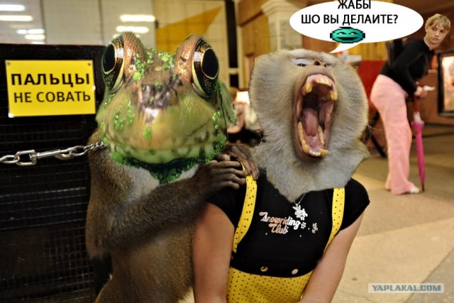 Фотожаба: Не совать!