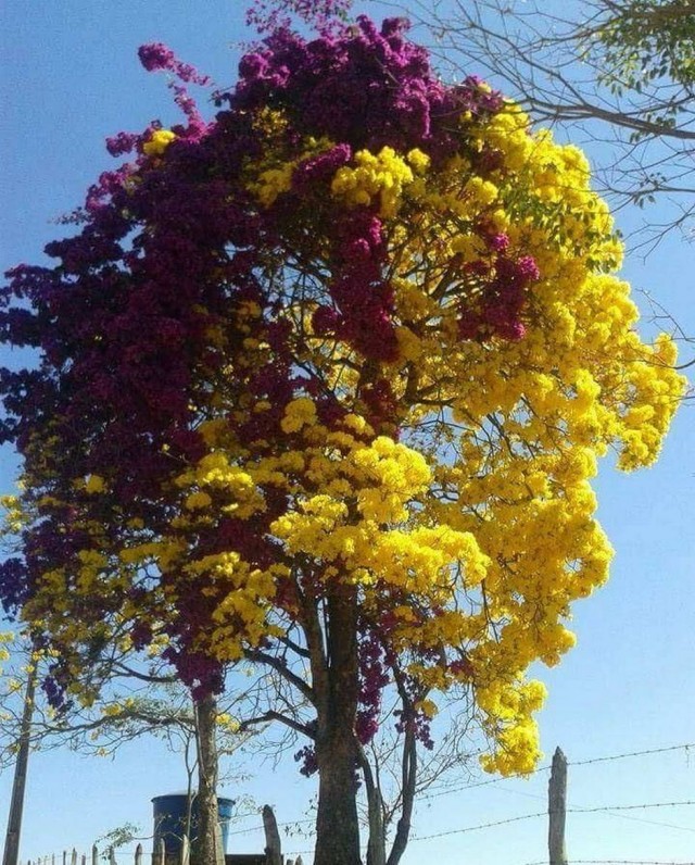 Картинки разные