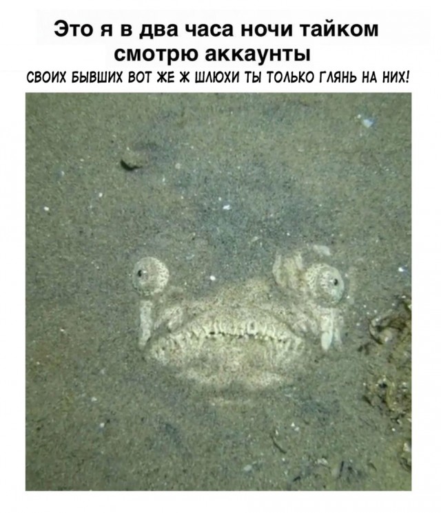 Эй вы, давно не деградировали?!