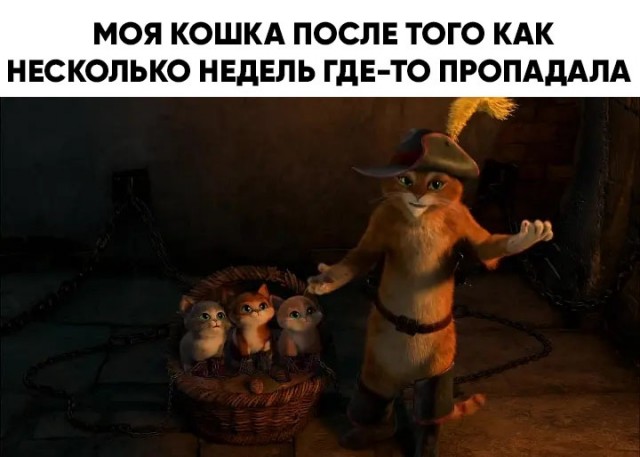 Весёлый полтишок 1.04