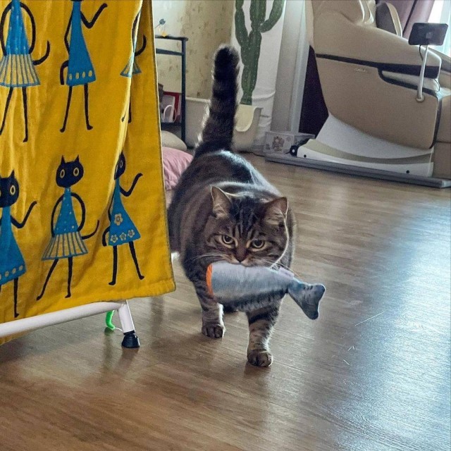 Подборка всякой живности