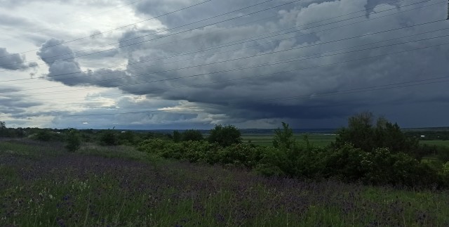Перед грозой в деревне