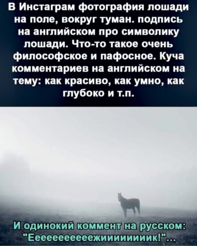 Весёлый полтишок 13.09